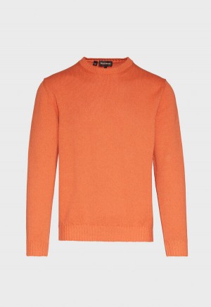 Paul Stuart Boucle Crewneck Orange | NZ_PAUL91040