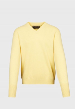 Paul Stuart Classic Cashmere Double Ply V-Neck Yellow | NZ_PAUL34952