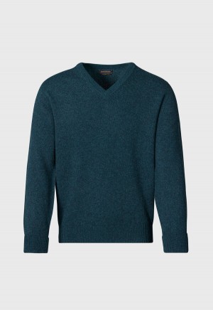 Paul Stuart Classic Cashmere Double Ply V-Neck Blue | NZ_PAUL82552