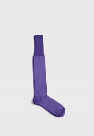 Paul Stuart Cotton Herringbone Purple | NZ_PAUL28687