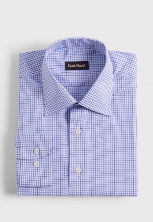 Paul Stuart Cotton Tattersall Blue / Purple | NZ_PAUL41544