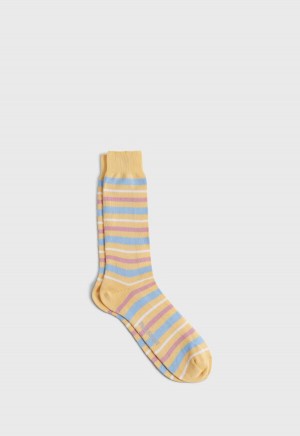 Paul Stuart Cotton Variegated Multicolor Stripe Multicolor | NZ_PAUL23771