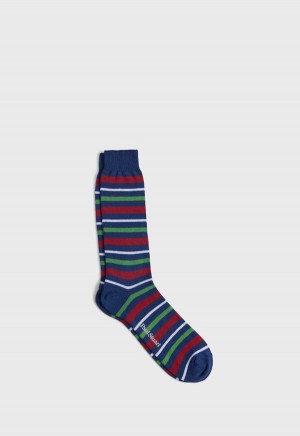 Paul Stuart Cotton Variegated Multicolor Stripe Blue | NZ_PAUL14455