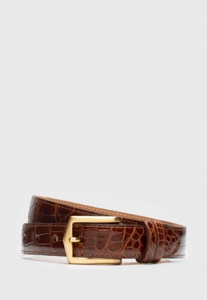 Paul Stuart Glazed Alligator Gold | NZ_PAUL30221