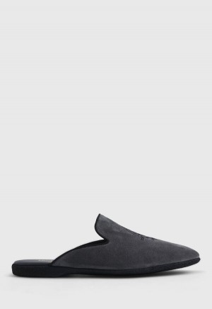 Paul Stuart Hamilton Suede Grey | NZ_PAUL74851