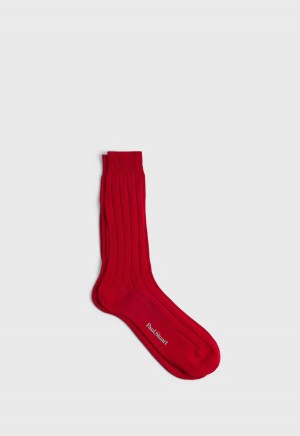Paul Stuart Mercerized Cotton Ribbed Red | NZ_PAUL25120