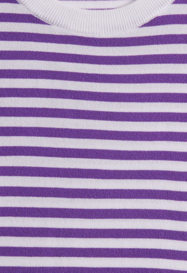 Paul Stuart Stripe Knit Short Sleeve Crewneck Purple / White | NZ_PAUL47577