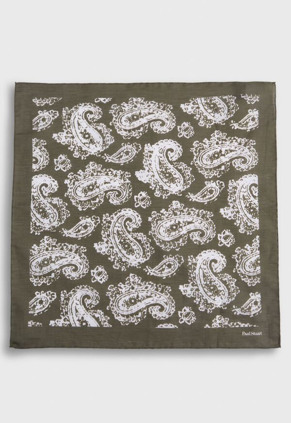 Paul Stuart Tossed Paisley Print Olive | NZ_PAUL78822